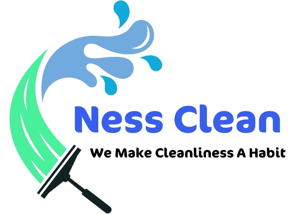 nessclean.com