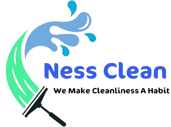 nessclean.com